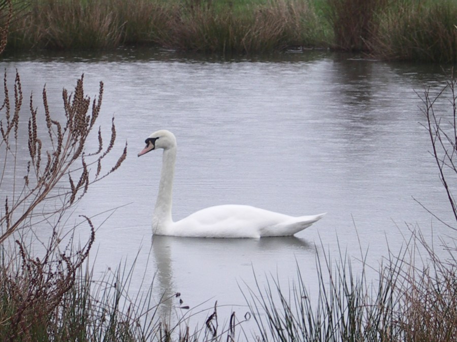 KONICA MINOLTA DIGITAL CAMERA