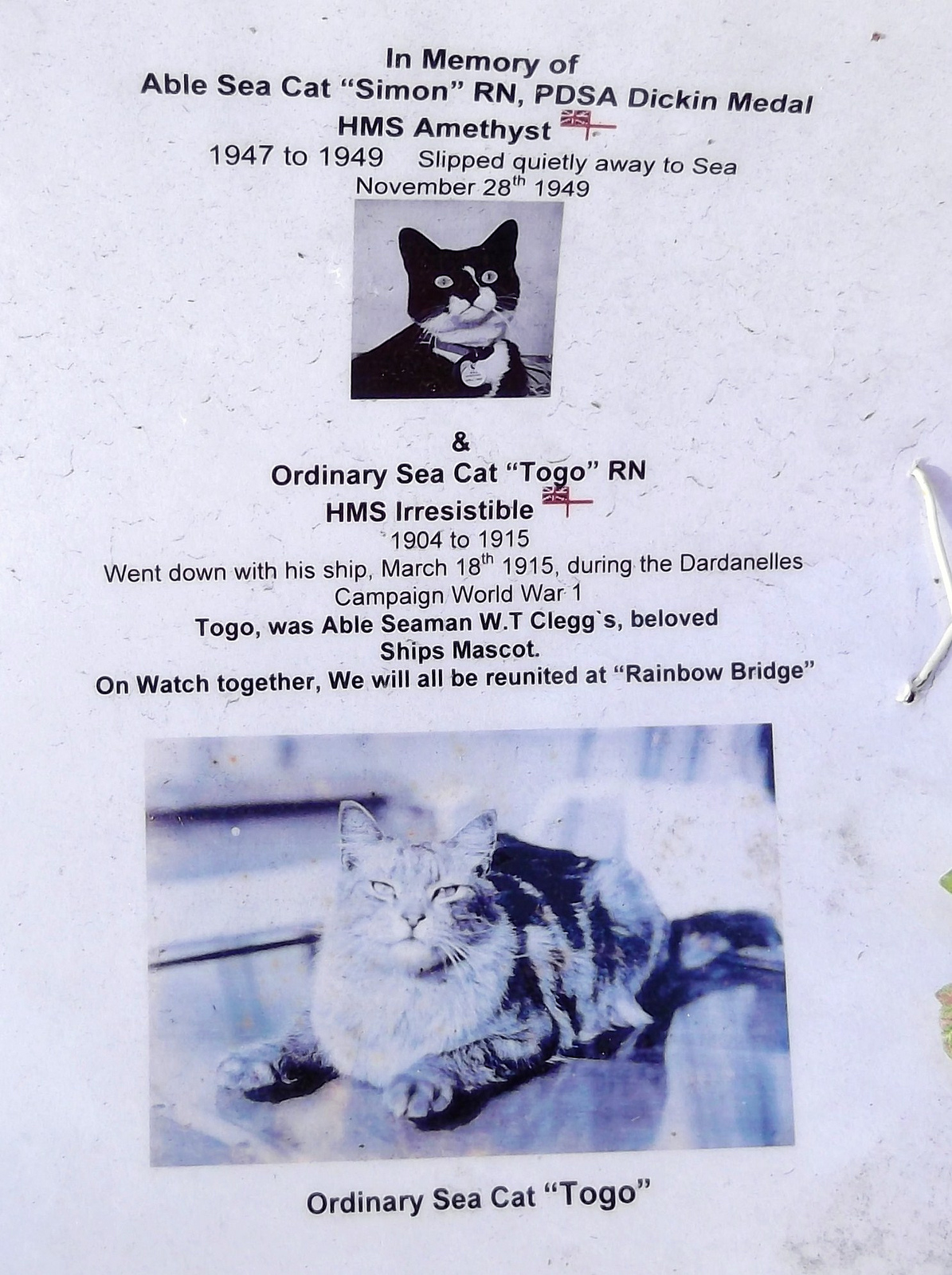 London 002 Able Sea Cat Simon HMS Amethyst